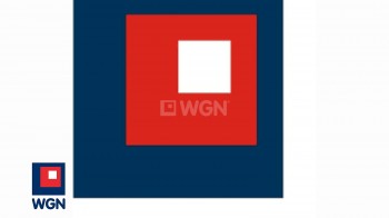 Grunt rolny na  sprzedaż Wyry - Potencjał inwestycyjny na sprzedaż - działka rolna w atrakcyjnym miejscu.